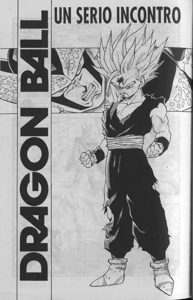 Dragon Ball Capitolo 409 page 3