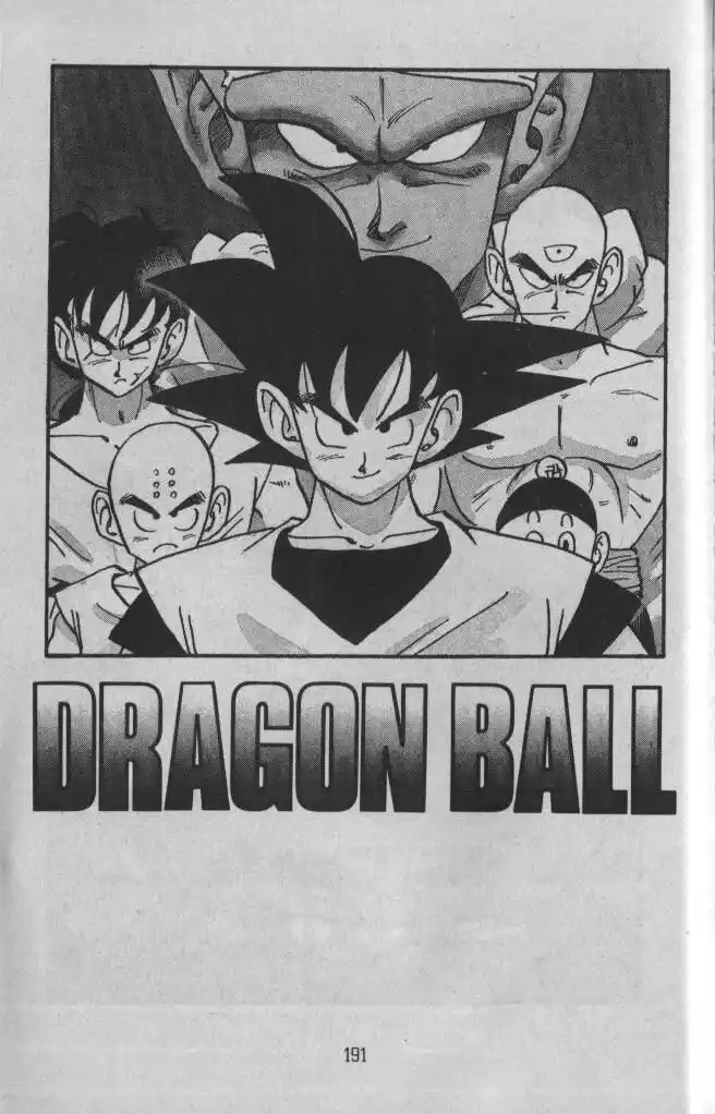 Dragon Ball Capitolo 313 page 10