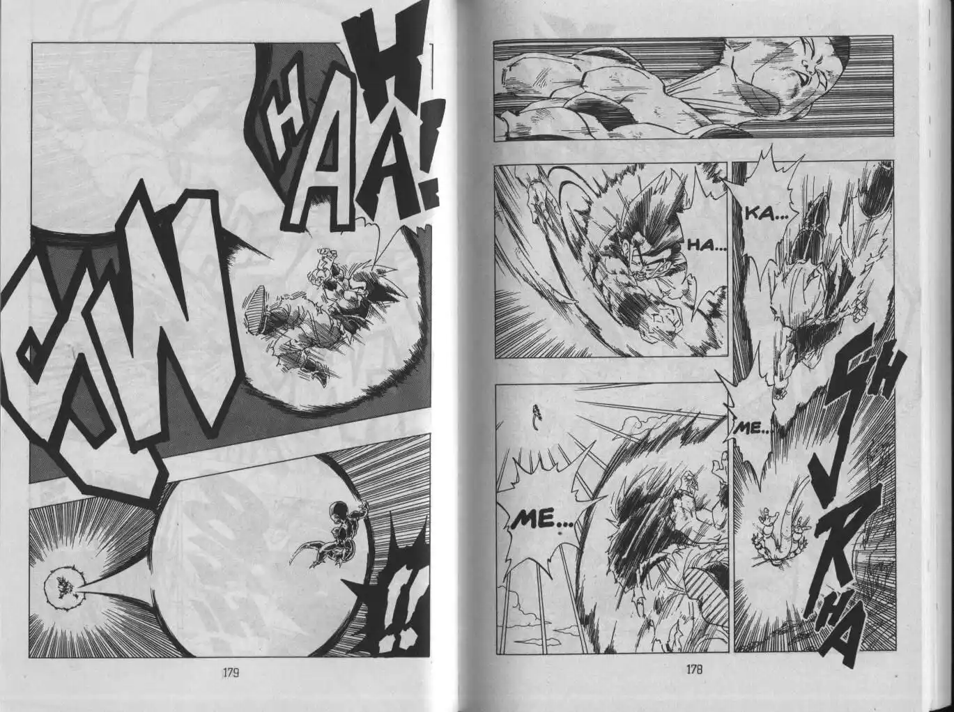 Dragon Ball Capitolo 313 page 6