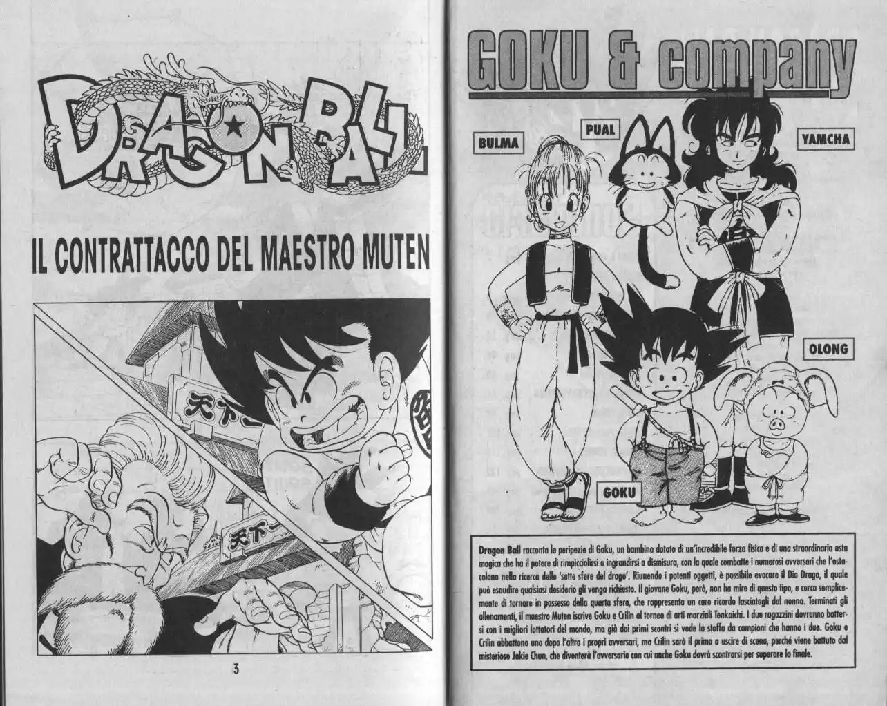 Dragon Ball Capitolo 49 page 3