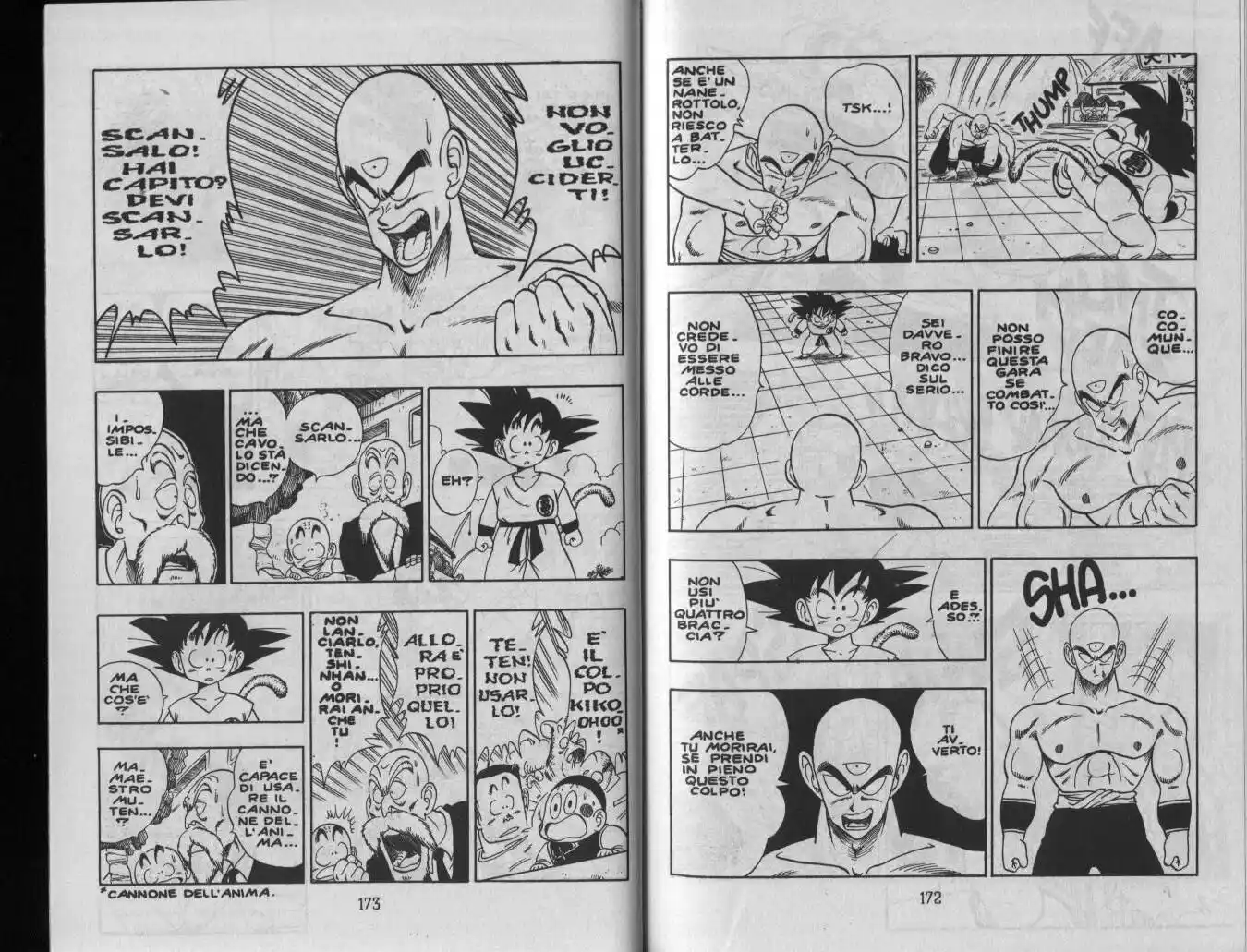 Dragon Ball Capitolo 132 page 6