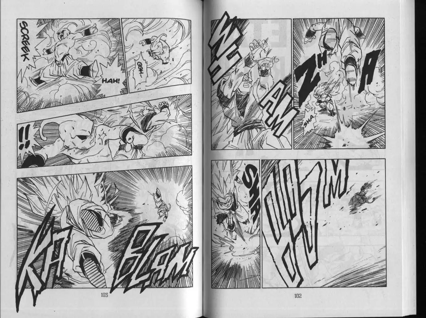 Dragon Ball Capitolo 510 page 2