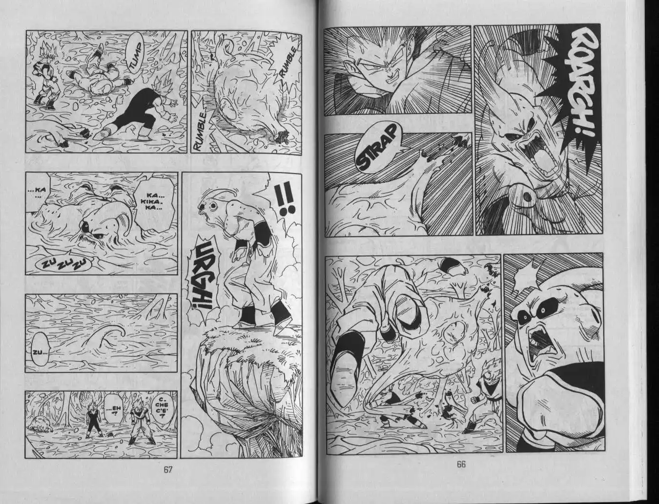 Dragon Ball Capitolo 507 page 5