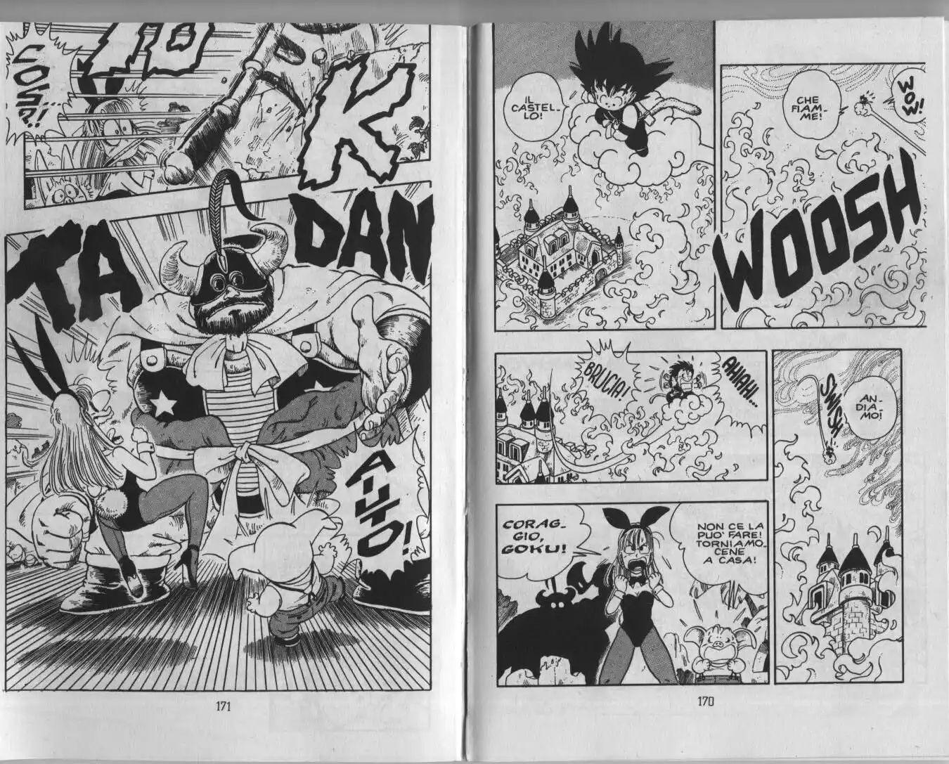 Dragon Ball Capitolo 11 page 6