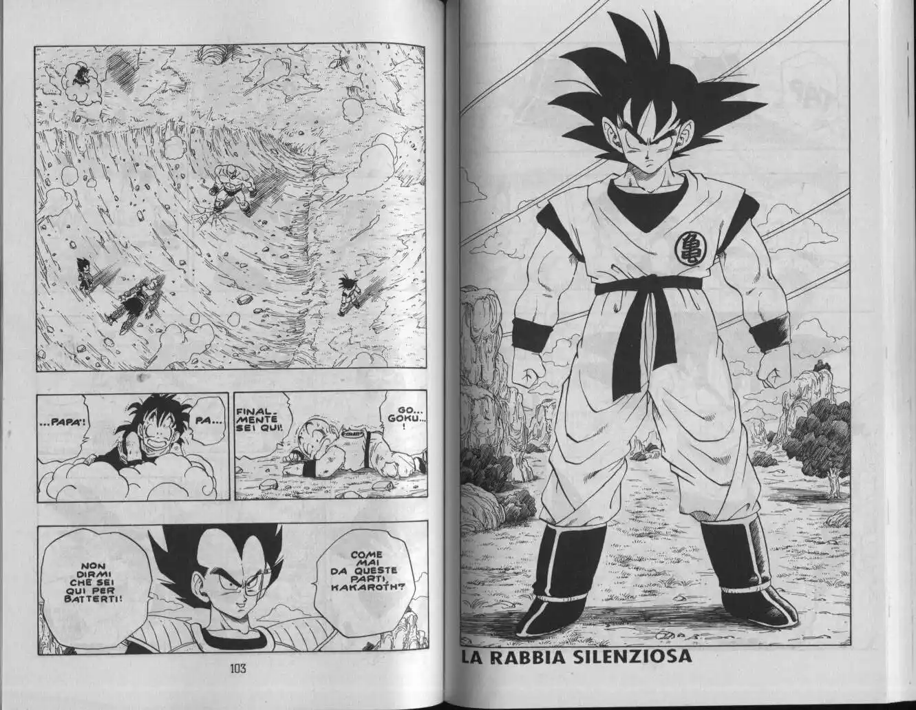 Dragon Ball Capitolo 224 page 1