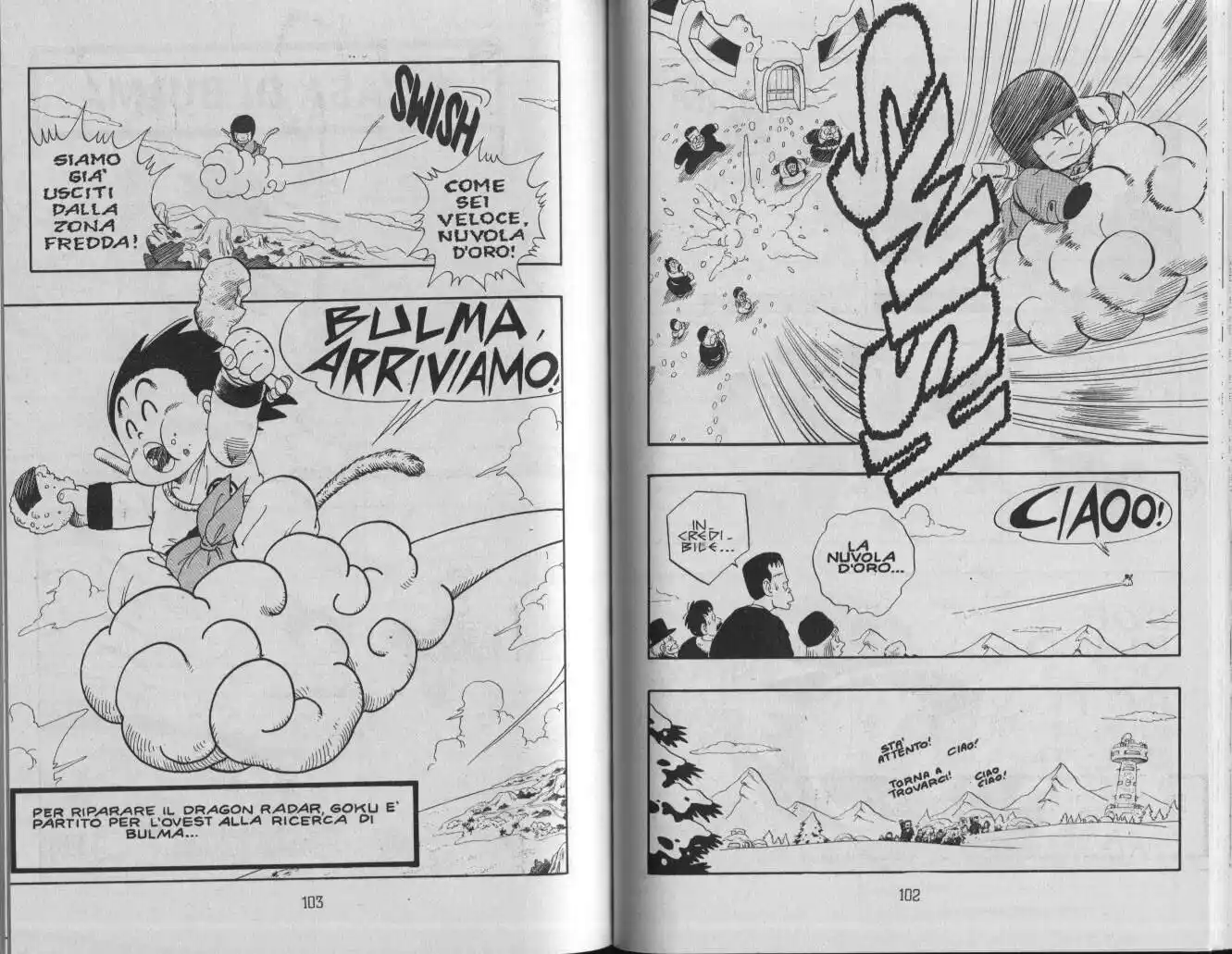 Dragon Ball Capitolo 67 page 7