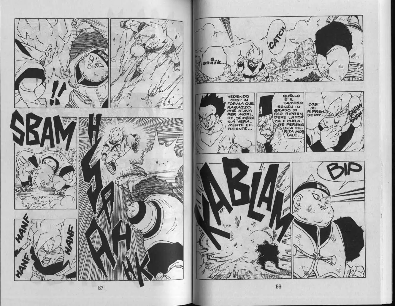 Dragon Ball Capitolo 342 page 4