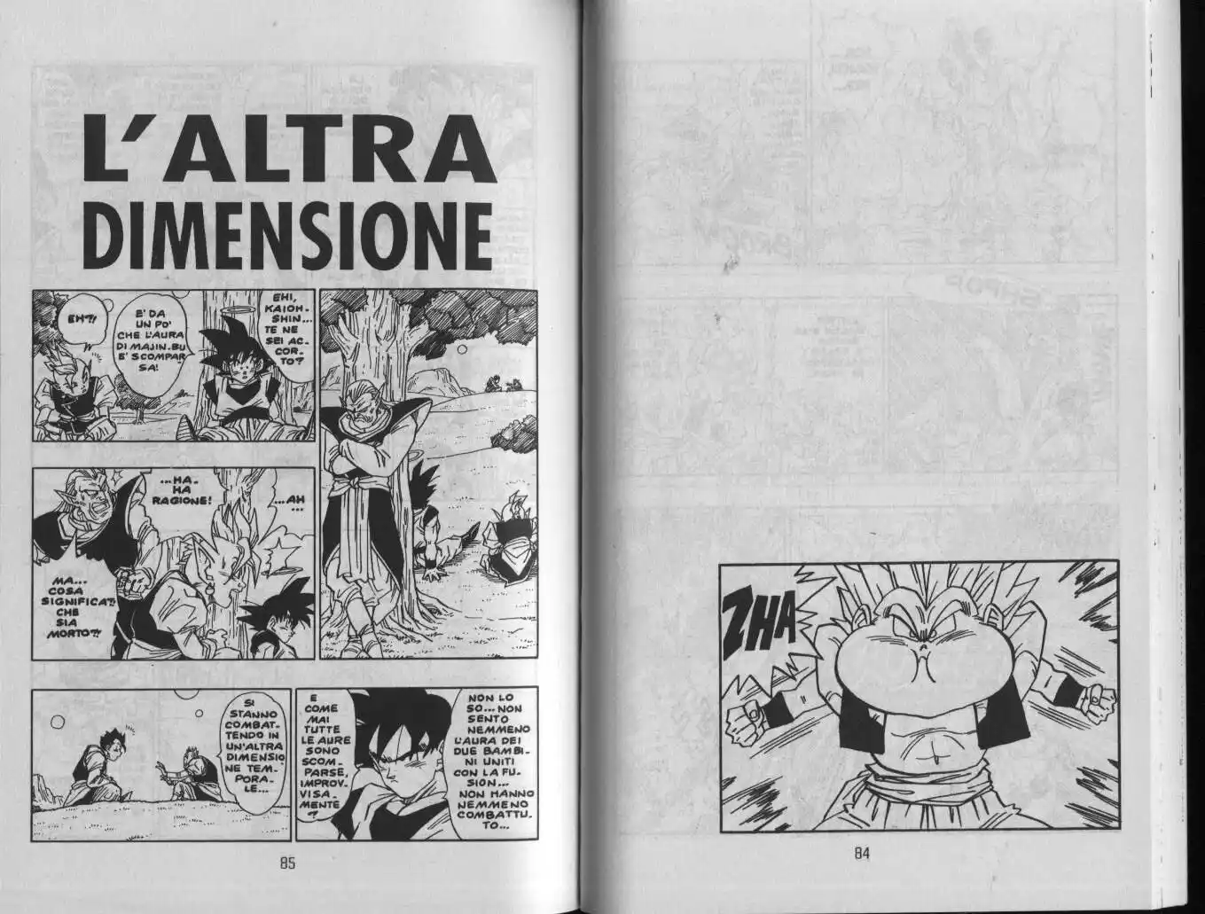 Dragon Ball Capitolo 492 page 1