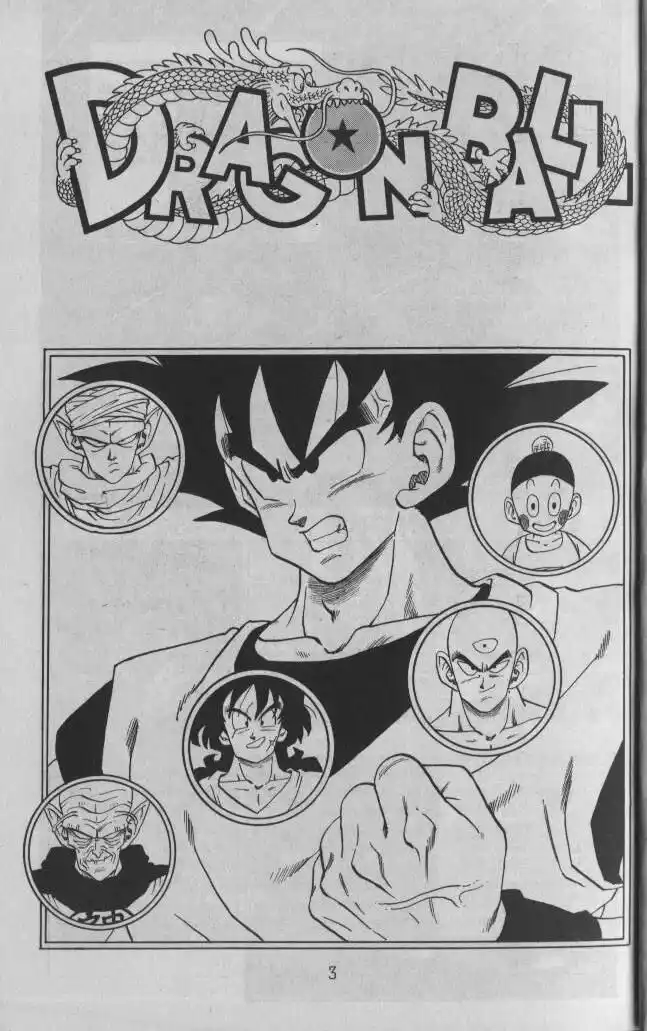 Dragon Ball Capitolo 229 page 3