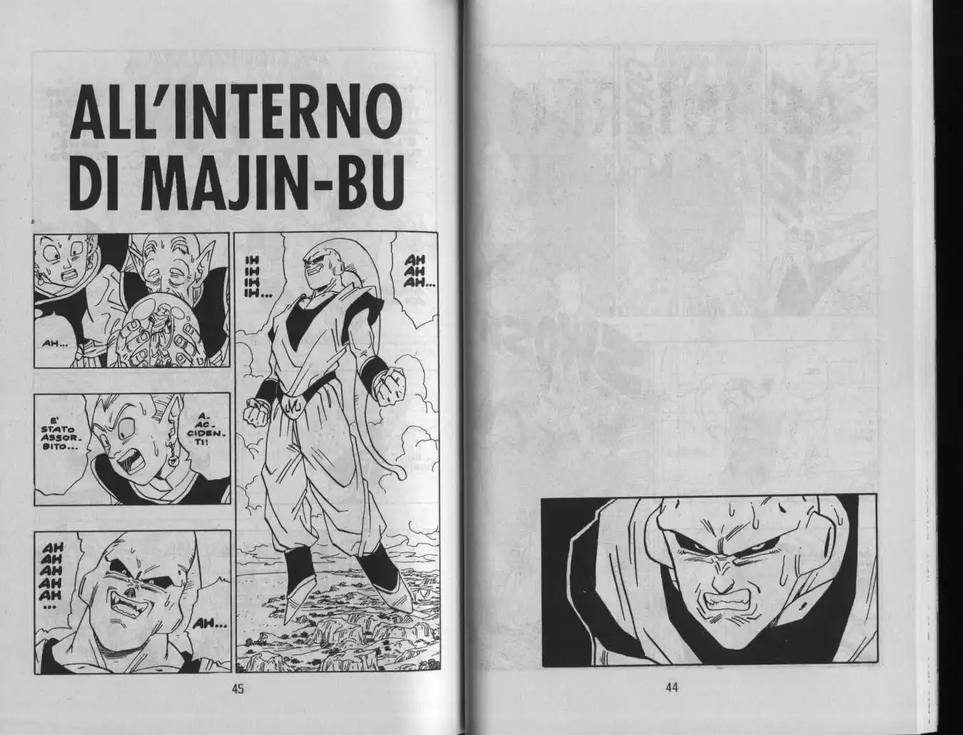 Dragon Ball Capitolo 506 page 1