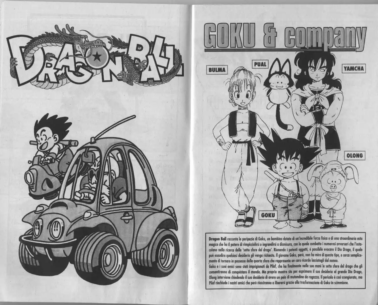 Dragon Ball Capitolo 25 page 3