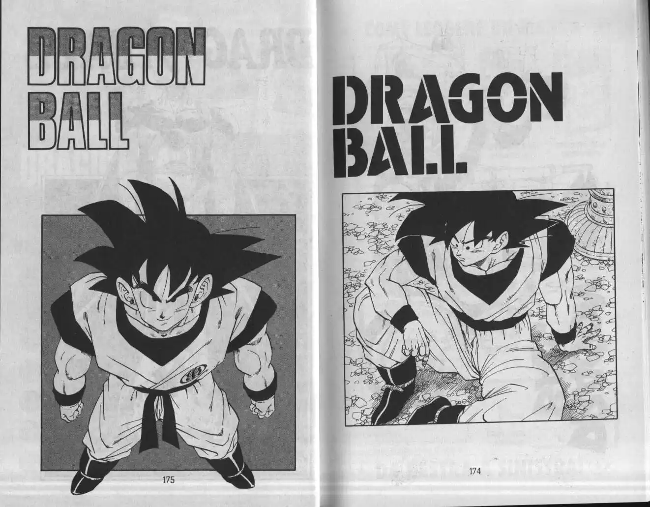 Dragon Ball Capitolo 385 page 9