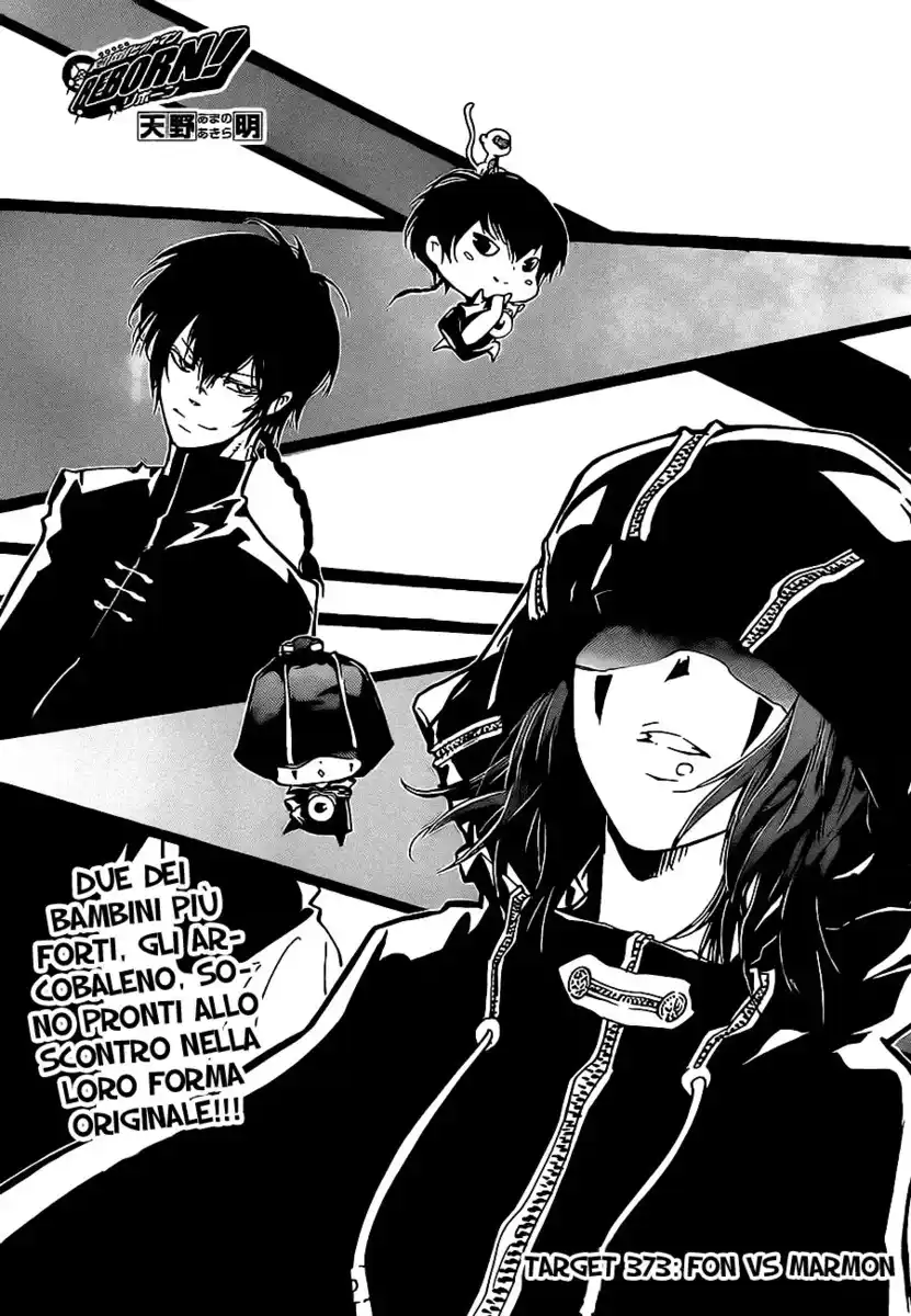 Kateikyoushi Hitman Reborn! Capitolo 373 page 2