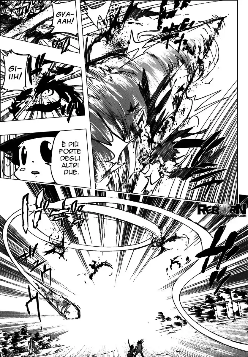 Kateikyoushi Hitman Reborn! Capitolo 384 page 12