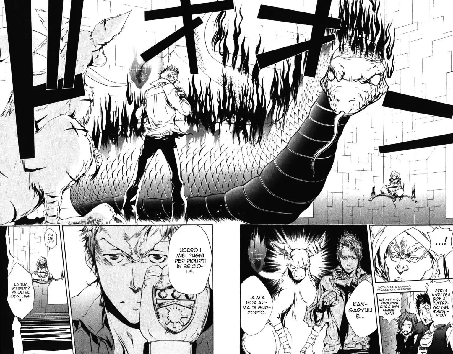 Kateikyoushi Hitman Reborn! Capitolo 187 page 13