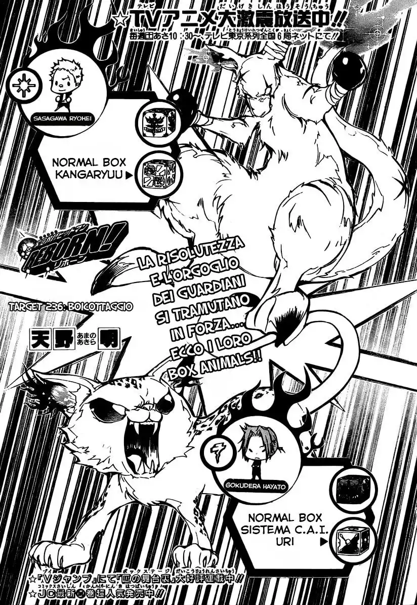 Kateikyoushi Hitman Reborn! Capitolo 236 page 2