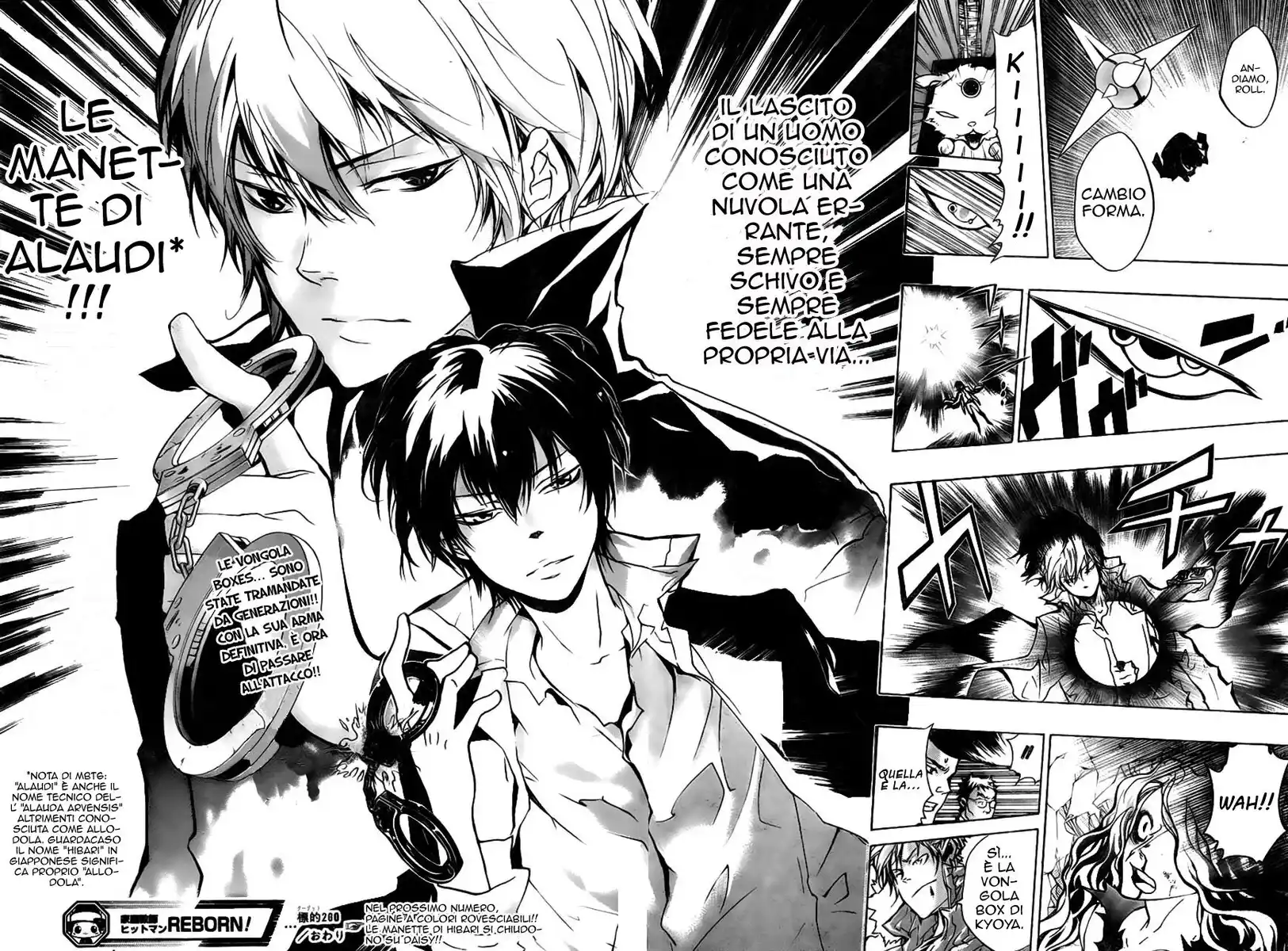 Kateikyoushi Hitman Reborn! Capitolo 260 page 19