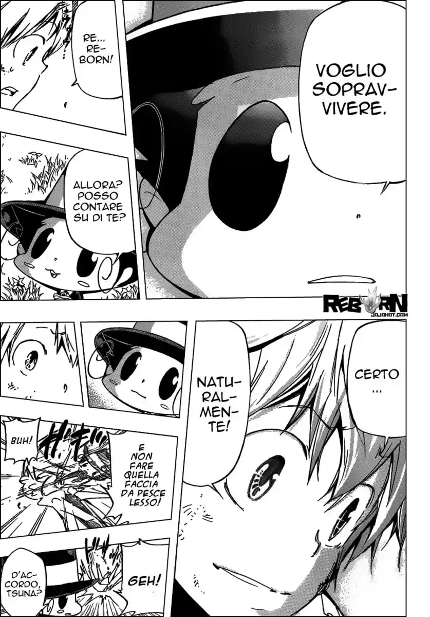 Kateikyoushi Hitman Reborn! Capitolo 393 page 15