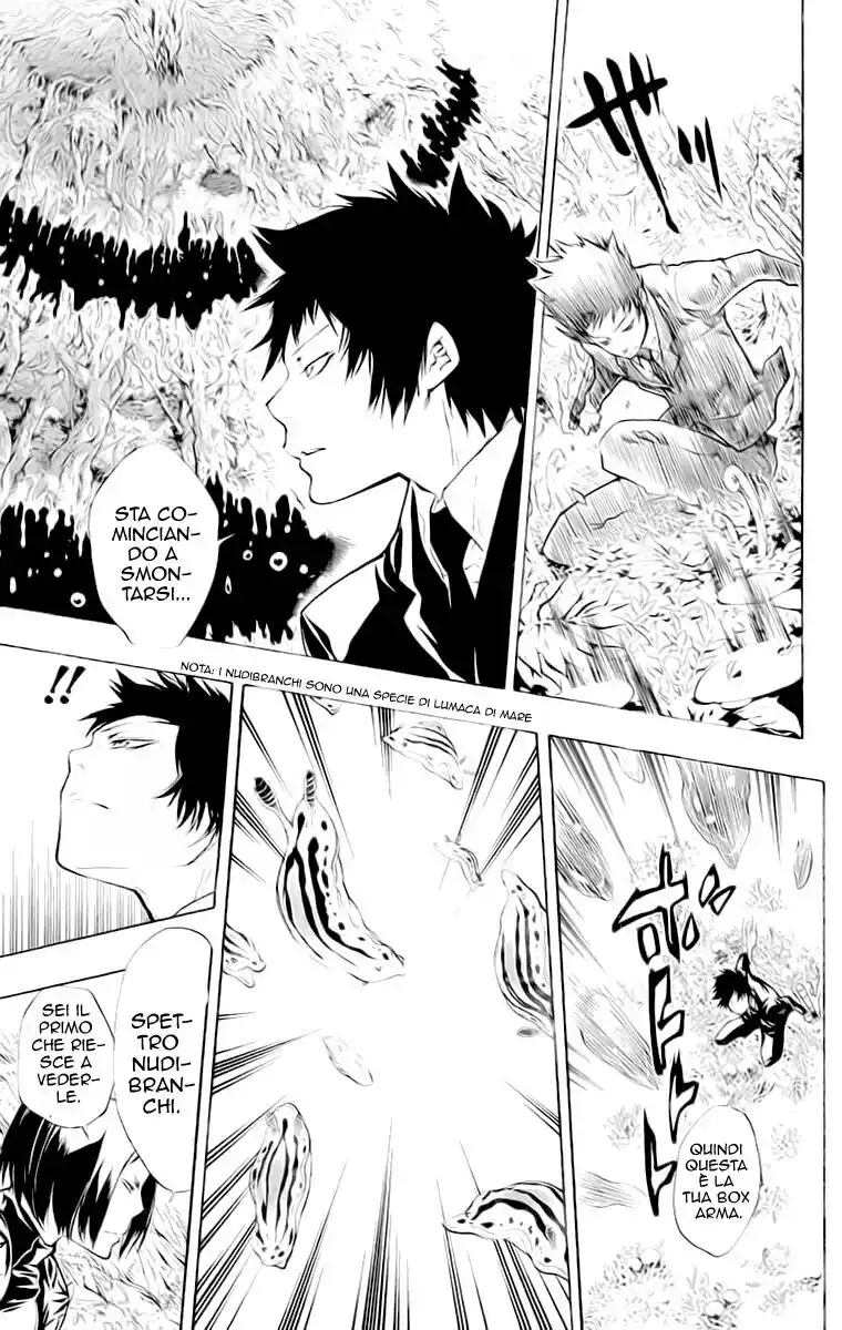 Kateikyoushi Hitman Reborn! Capitolo 203 page 13