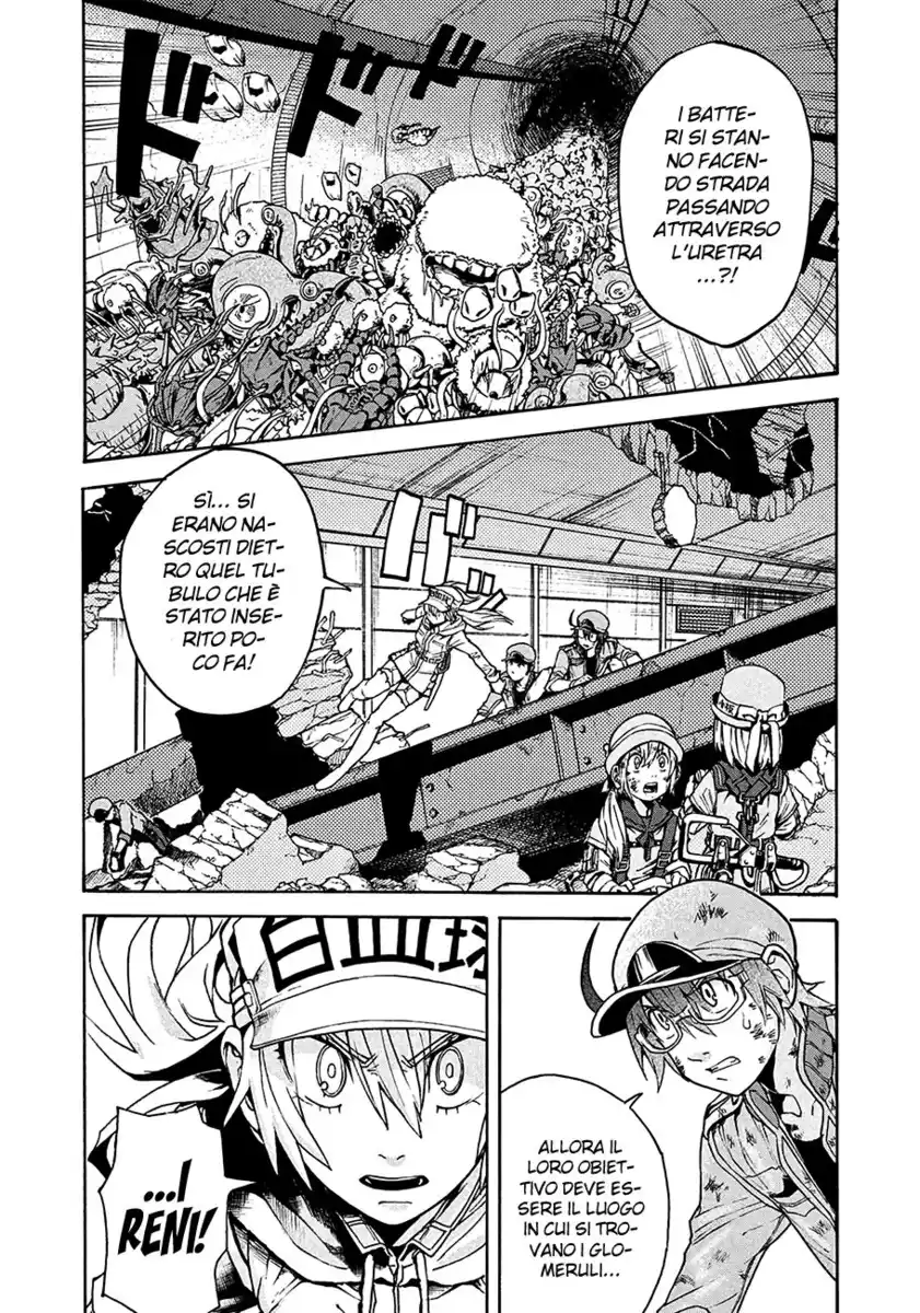 Hataraku Saibou BLACK Capitolo 14 page 3