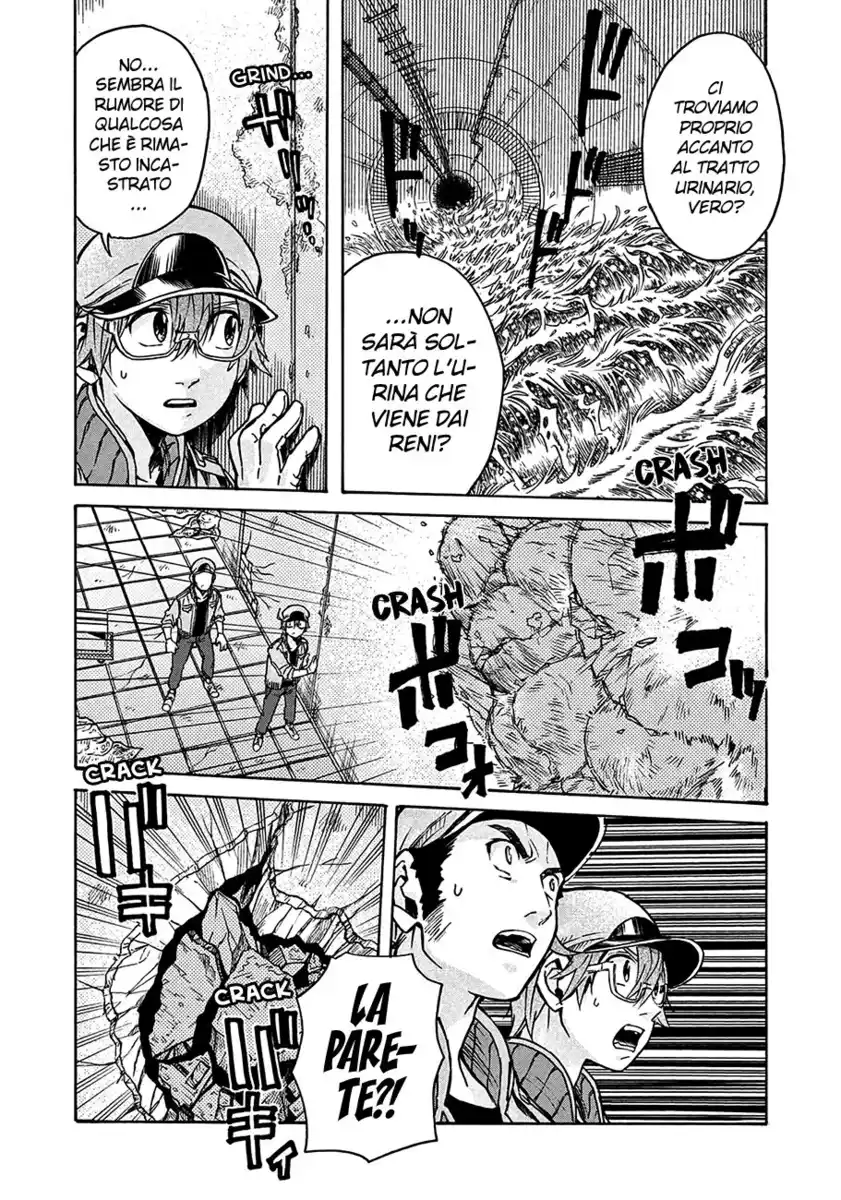 Hataraku Saibou BLACK Capitolo 13 page 12