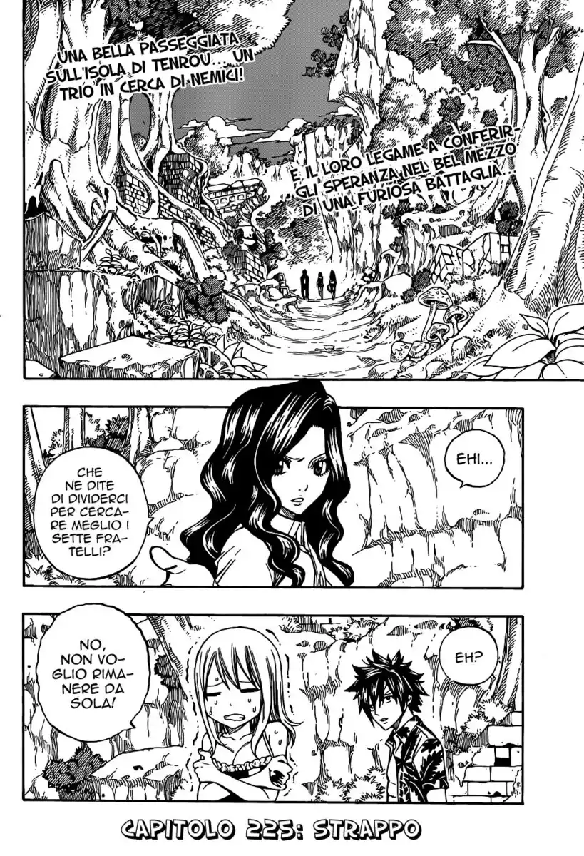 Fairy Tail Capitolo 225 page 3