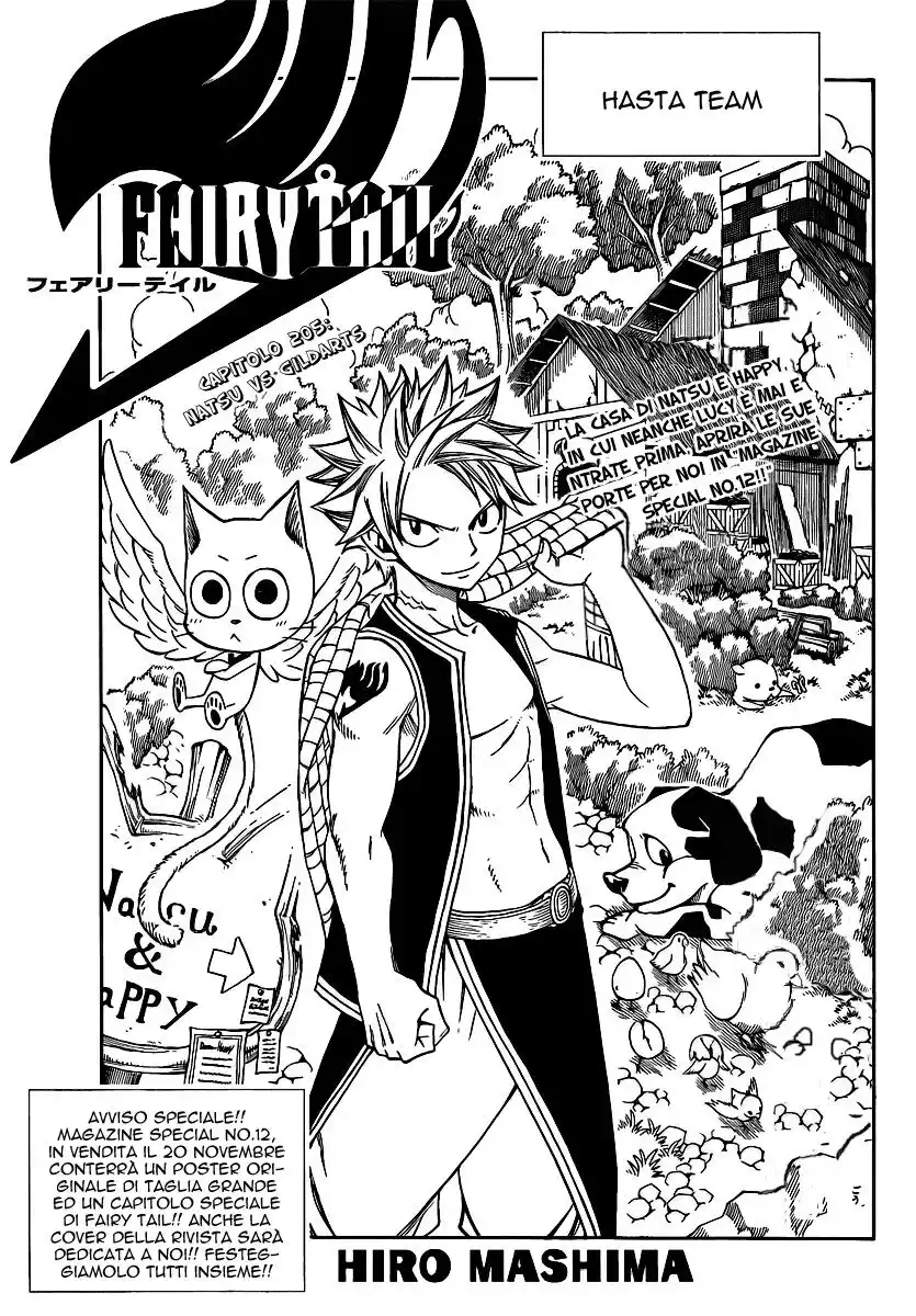 Fairy Tail Capitolo 205 page 6