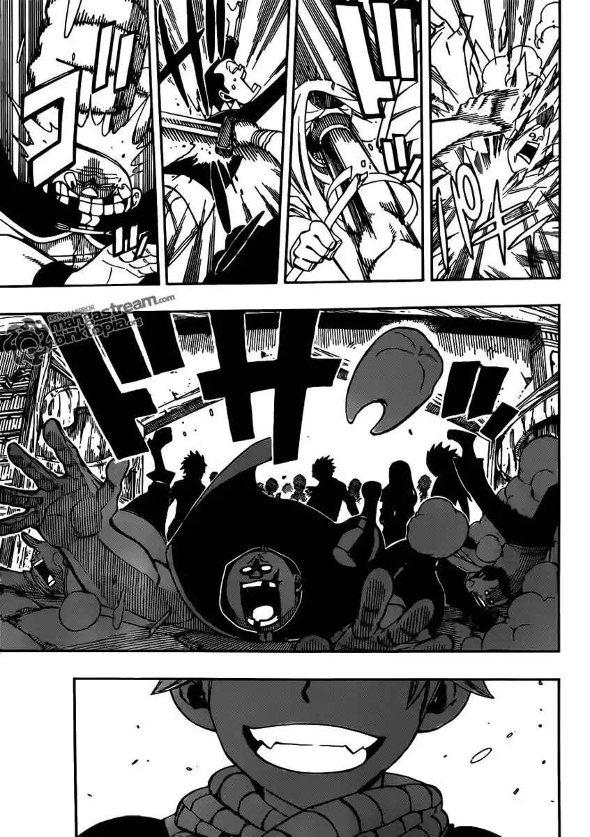 Fairy Tail Capitolo 255 page 12