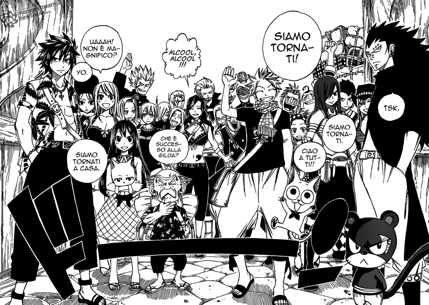 Fairy Tail Capitolo 255 page 13