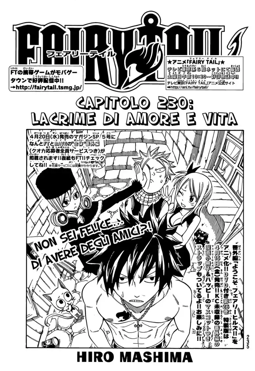 Fairy Tail Capitolo 230 page 2