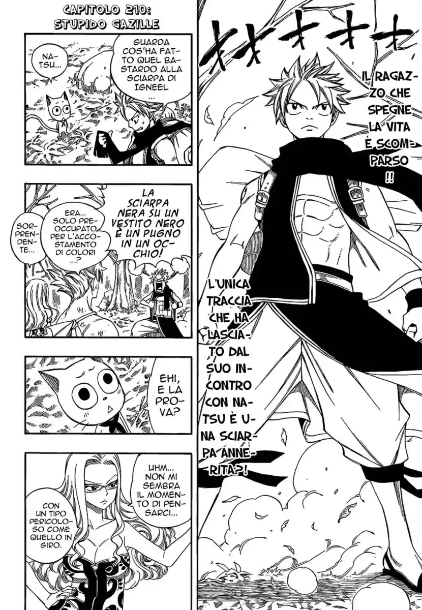 Fairy Tail Capitolo 210 page 3