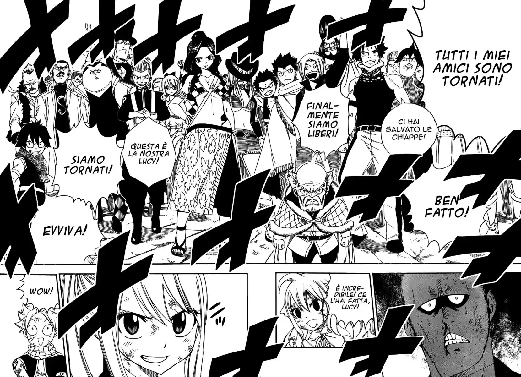 Fairy Tail Capitolo 479 page 13