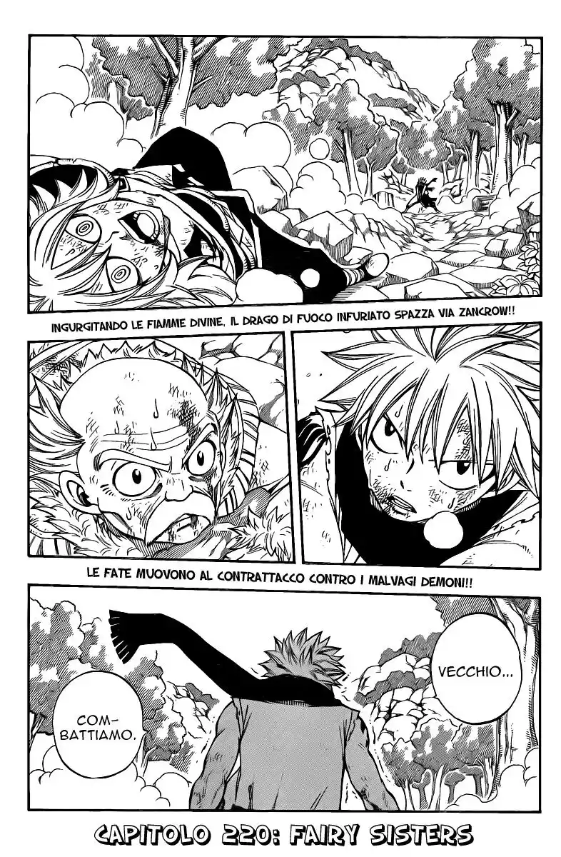 Fairy Tail Capitolo 220 page 3