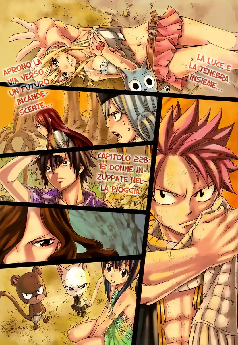 Fairy Tail Capitolo 228 page 4