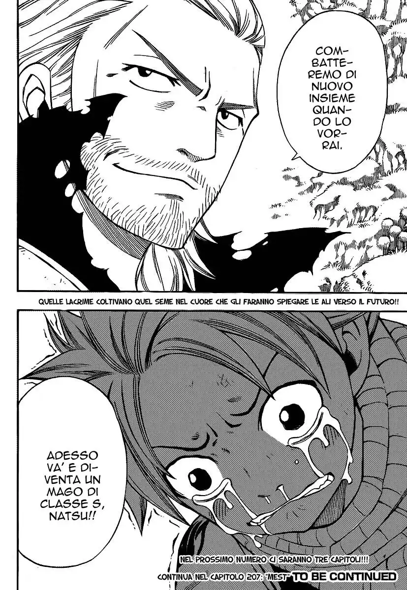 Fairy Tail Capitolo 206 page 21