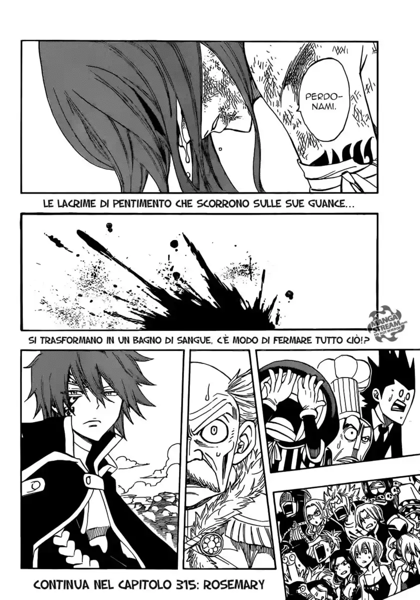 Fairy Tail Capitolo 314 page 21