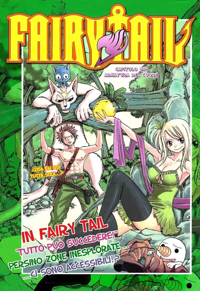 Fairy Tail Capitolo 89 page 2