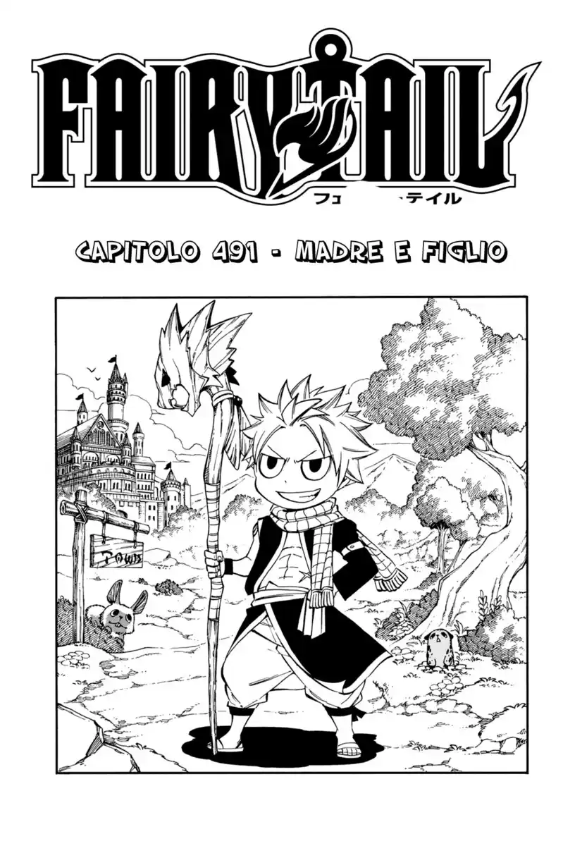 Fairy Tail Capitolo 491 page 2