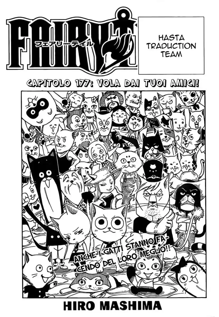 Fairy Tail Capitolo 177 page 2