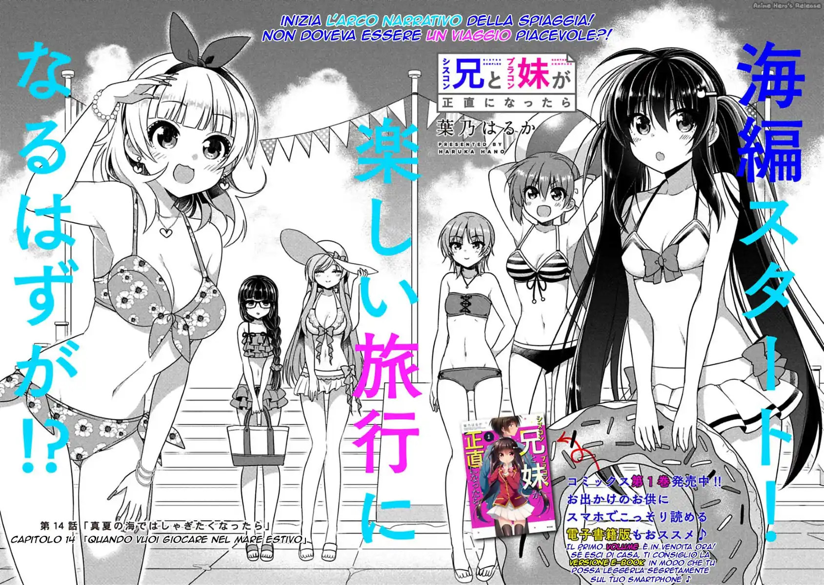 Siscon Ani to Brocon Imouto ga Shoujiki ni Nattara Capitolo 14 page 4