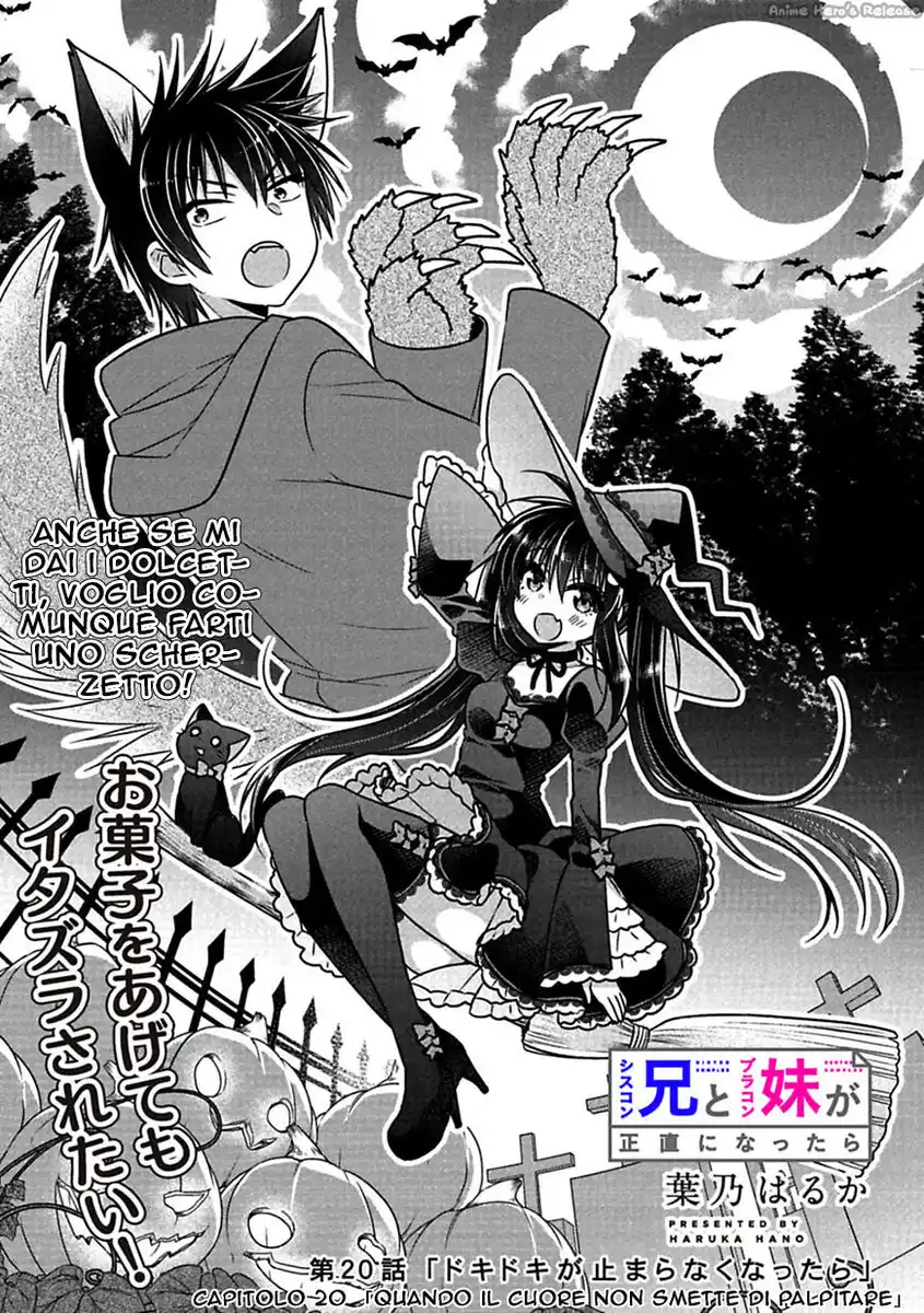 Siscon Ani to Brocon Imouto ga Shoujiki ni Nattara Capitolo 20 page 4