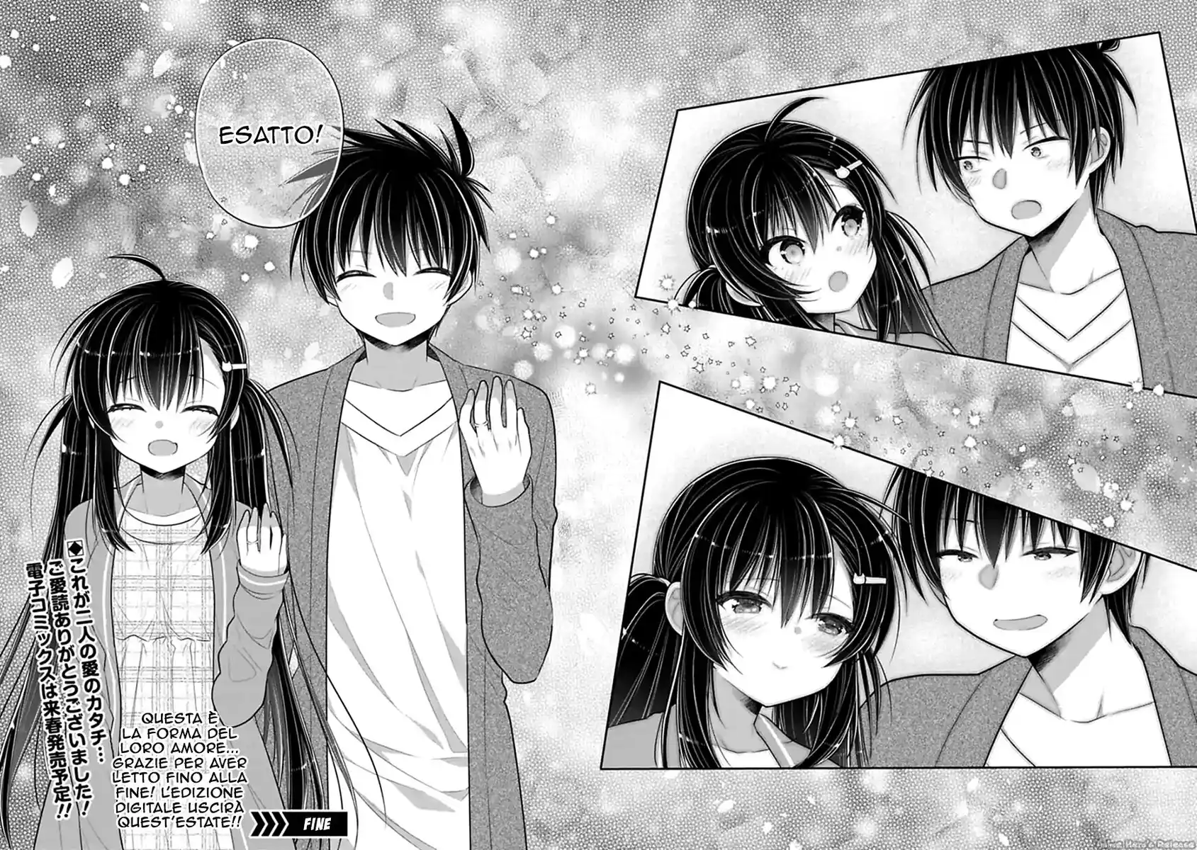 Siscon Ani to Brocon Imouto ga Shoujiki ni Nattara Capitolo 48 page 15