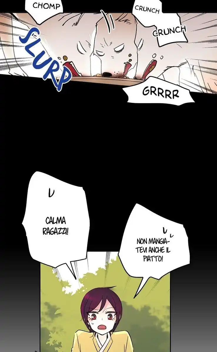 41