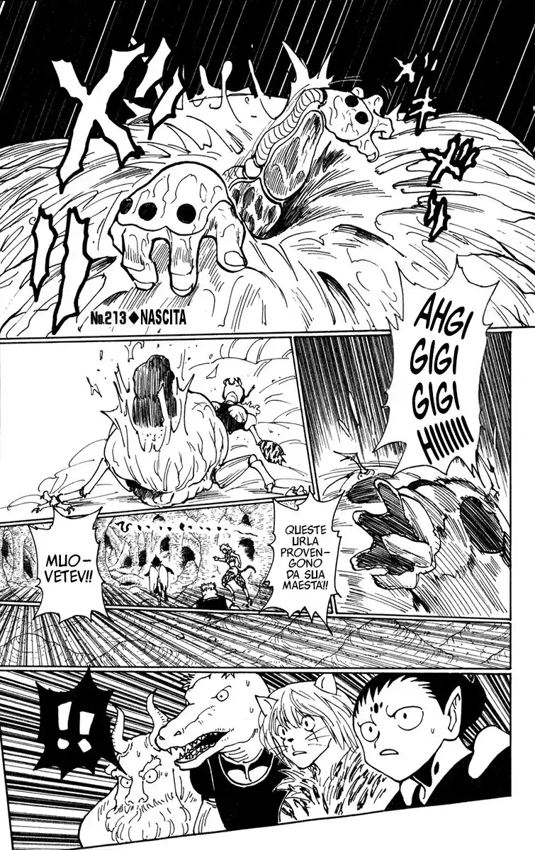 Hunter x Hunter Capitolo 213 page 1