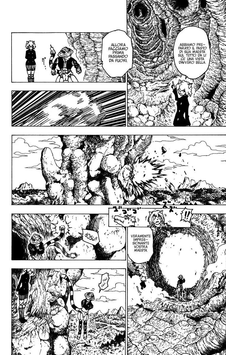 Hunter x Hunter Capitolo 213 page 10