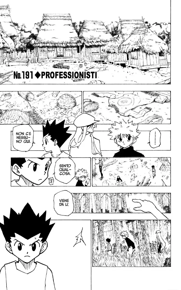 Hunter x Hunter Capitolo 191 page 1