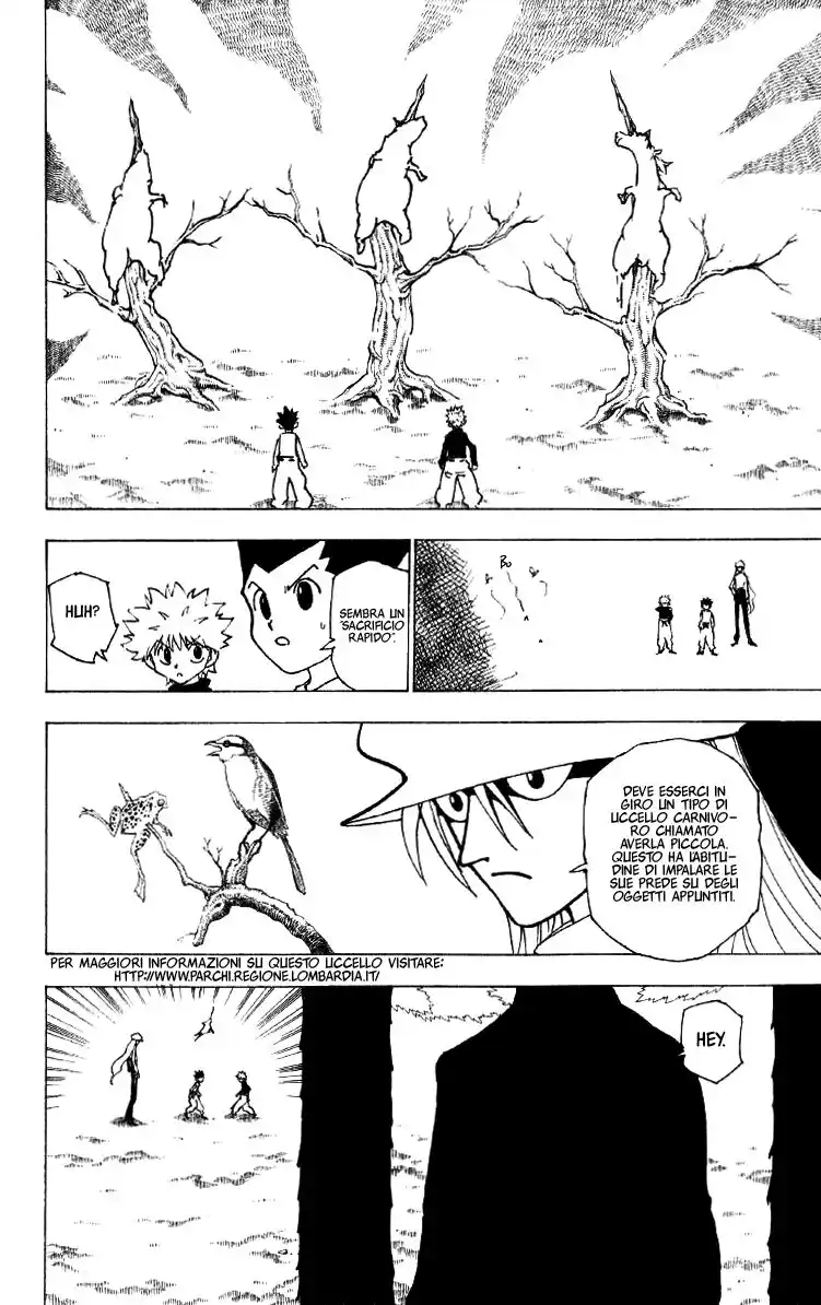 Hunter x Hunter Capitolo 191 page 2