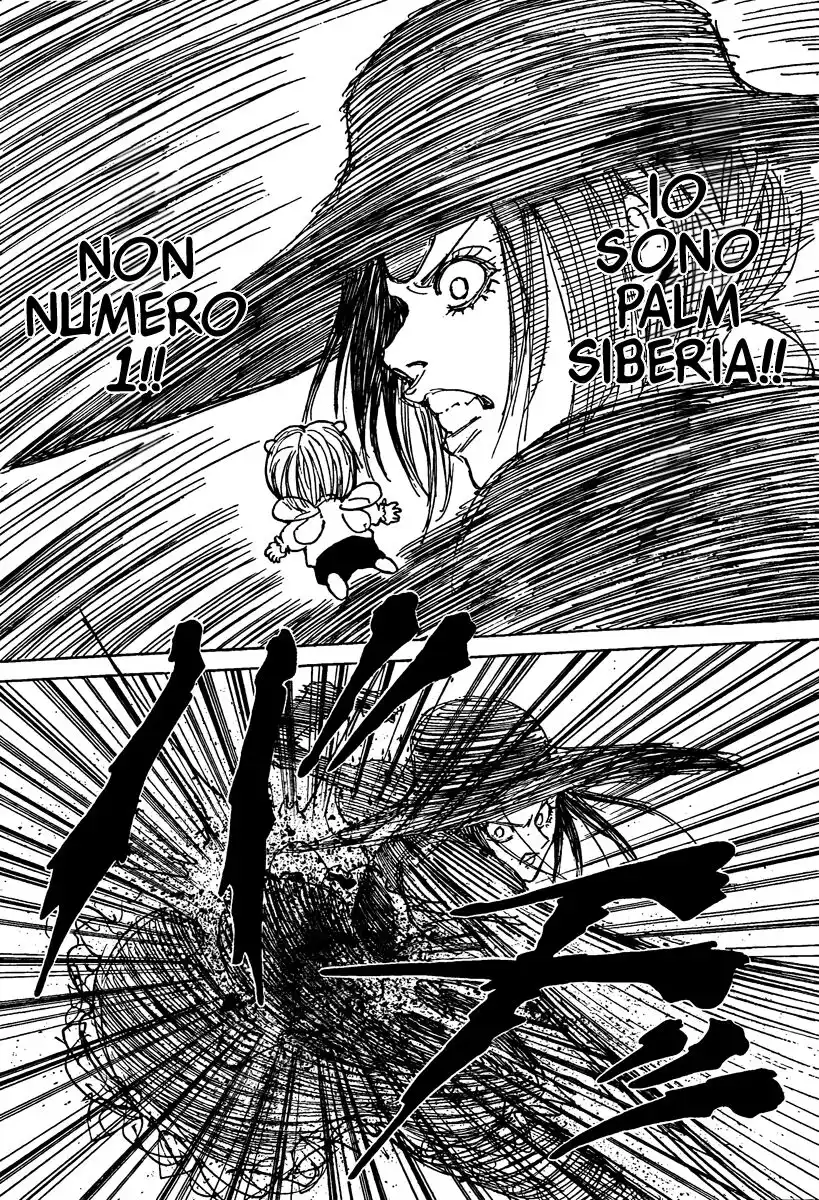 Hunter x Hunter Capitolo 294 page 15