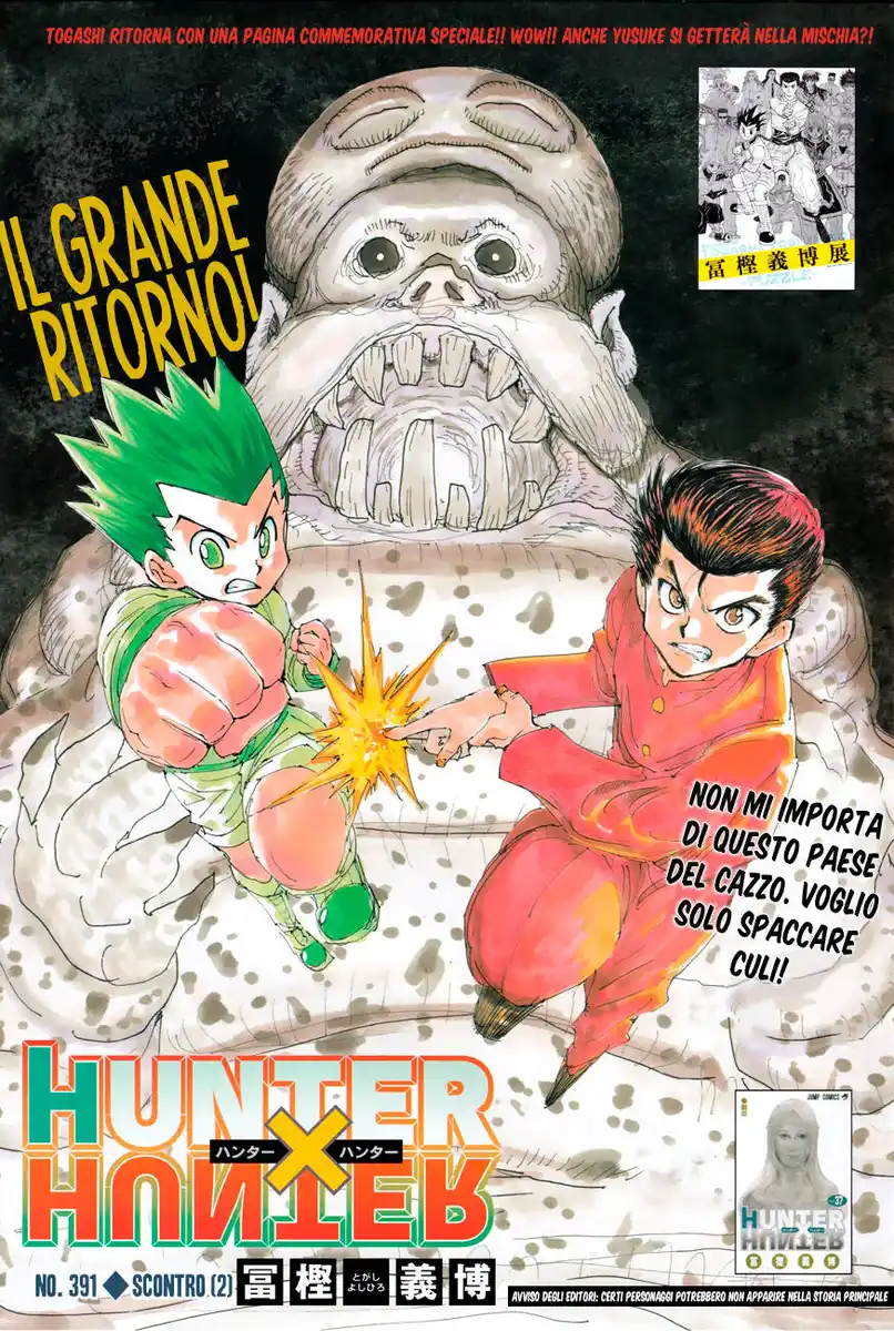 Hunter x Hunter Capitolo 391 page 2