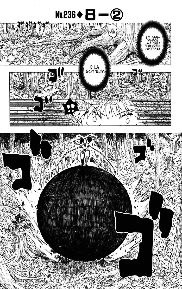 Hunter x Hunter Capitolo 236 page 3